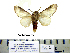  ( - Ad16-8-8 B2840-84)  @13 [ ] Copyright (2010) Unspecified Research Collection of Paul Thiaucourt