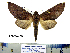  ( - Ef11-5-10 B2840-91)  @14 [ ] Copyright (2010) Unspecified Research Collection of Paul Thiaucourt