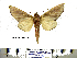  ( - Ef11-5-10 B2840-91)  @13 [ ] Copyright (2010) Unspecified Research Collection of Paul Thiaucourt