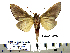  ( - Ef8-1-1 B2840-92)  @13 [ ] Copyright (2010) Unspecified Research Collection of Paul Thiaucourt