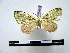 ( - BC-PTh0544)  @13 [ ] Copyright (2010) Unspecified Research Collection of Paul Thiaucourt