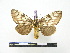  ( - BC-PTh0693)  @14 [ ] Copyright (2010) Unspecified Research Collection of Paul Thiaucourt