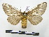  ( - BC-PTh0699)  @11 [ ] Copyright (2010) Unspecified Research Collection of Paul Thiaucourt