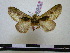 ( - BC-PTh0022)  @11 [ ] Copyright (2010) Unspecified Research Collection of Paul Thiaucourt