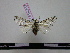  ( - BC-PTh0037)  @13 [ ] Copyright (2010) Unspecified Research Collection of Paul Thiaucourt