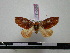  ( - BC-PTh0058)  @13 [ ] Copyright (2010) Unspecified Research Collection of Paul Thiaucourt
