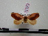  ( - BC-PTh0060)  @13 [ ] Copyright (2010) Unspecified Research Collection of Paul Thiaucourt