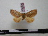  ( - BC-PTh0066)  @12 [ ] Copyright (2010) Unspecified Research Collection of Paul Thiaucourt