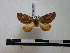  ( - BC-PTh0067)  @11 [ ] Copyright (2010) Unspecified Research Collection of Paul Thiaucourt