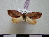  ( - BC-PTh0073)  @13 [ ] Copyright (2010) Unspecified Research Collection of Paul Thiaucourt