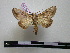  ( - BC-PTh0102)  @13 [ ] Copyright (2010) Unspecified Research Collection of Paul Thiaucourt
