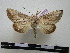  ( - BC-PTh0103)  @13 [ ] Copyright (2010) Unspecified Research Collection of Paul Thiaucourt