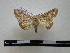  ( - BC-PTh0107)  @13 [ ] Copyright (2010) Unspecified Research Collection of Paul Thiaucourt