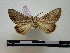  ( - BC-PTh0108)  @12 [ ] Copyright (2010) Unspecified Research Collection of Paul Thiaucourt
