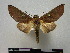  ( - BC-PTh0126)  @14 [ ] Copyright (2010) Unspecified Research Collection of Paul Thiaucourt