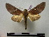  ( - BC-PTh0127)  @14 [ ] Copyright (2010) Unspecified Research Collection of Paul Thiaucourt
