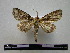  ( - BC-PTh0144)  @13 [ ] Copyright (2010) Unspecified Research Collection of Paul Thiaucourt