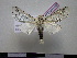  ( - BC-PTh0152)  @13 [ ] Copyright (2010) Unspecified Research Collection of Paul Thiaucourt