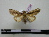  ( - BC-PTh0194)  @13 [ ] Copyright (2010) Unspecified Research Collection of Paul Thiaucourt