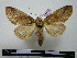  ( - BC-PTh0209)  @13 [ ] Copyright (2010) Unspecified Research Collection of Paul Thiaucourt