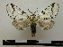  ( - BC-PTh0218)  @13 [ ] Copyright (2010) Unspecified Research Collection of Paul Thiaucourt