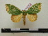  ( - BC-PTh0219)  @14 [ ] Copyright (2010) Unspecified Research Collection of Paul Thiaucourt