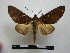  ( - BC-PTh0227)  @13 [ ] Copyright (2010) Unspecified Research Collection of Paul Thiaucourt