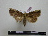  ( - BC-PTh0232)  @12 [ ] Copyright (2010) Unspecified Research Collection of Paul Thiaucourt