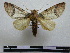  ( - BC-PTh0233)  @12 [ ] Copyright (2010) Unspecified Research Collection of Paul Thiaucourt