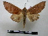  ( - BC-PTh0239)  @14 [ ] Copyright (2010) Unspecified Research Collection of Paul Thiaucourt