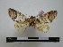 ( - BC-PTh0264)  @13 [ ] Copyright (2010) Unspecified Research Collection of Paul Thiaucourt