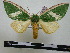  ( - BC-PTh0271)  @11 [ ] Copyright (2010) Unspecified Research Collection of Paul Thiaucourt