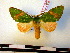  ( - BC-PTh0283)  @11 [ ] Copyright (2010) Unspecified Research Collection of Paul Thiaucourt