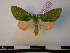  ( - BC-PTh0284)  @13 [ ] Copyright (2010) Unspecified Research Collection of Paul Thiaucourt