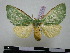  ( - BC-PTh0288)  @14 [ ] Copyright (2010) Unspecified Research Collection of Paul Thiaucourt