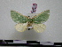  ( - BC-PTh0290)  @13 [ ] Copyright (2010) Unspecified Research Collection of Paul Thiaucourt