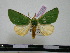  ( - BC-PTh0289)  @14 [ ] Copyright (2010) Unspecified Research Collection of Paul Thiaucourt