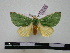  ( - BC-PTh0295)  @14 [ ] Copyright (2010) Unspecified Research Collection of Paul Thiaucourt
