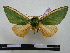  ( - BC-PTh0309)  @14 [ ] Copyright (2010) Unspecified Research Collection of Paul Thiaucourt