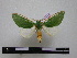  ( - BC-PTh0314)  @14 [ ] Copyright (2010) Unspecified Research Collection of Paul Thiaucourt