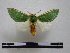  ( - BC-PTh0315)  @14 [ ] Copyright (2010) Unspecified Research Collection of Paul Thiaucourt