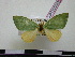  ( - BC-PTh0381)  @11 [ ] Copyright (2010) Unspecified Research Collection of Paul Thiaucourt