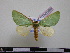  ( - BC-PTh0398)  @13 [ ] Copyright (2010) Unspecified Research Collection of Paul Thiaucourt