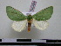  ( - BC-PTh0399)  @13 [ ] Copyright (2010) Unspecified Research Collection of Paul Thiaucourt