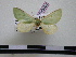  ( - BC-PTh0401)  @13 [ ] Copyright (2010) Unspecified Research Collection of Paul Thiaucourt