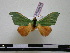  ( - BC-PTh0416)  @13 [ ] Copyright (2010) Unspecified Research Collection of Paul Thiaucourt