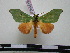  ( - BC-PTh0419)  @13 [ ] Copyright (2010) Unspecified Research Collection of Paul Thiaucourt