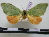  ( - BC-PTh0420)  @11 [ ] Copyright (2010) Unspecified Research Collection of Paul Thiaucourt