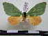  ( - BC-PTh0427)  @14 [ ] Copyright (2010) Unspecified Research Collection of Paul Thiaucourt