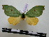  ( - BC-PTh0464)  @14 [ ] Copyright (2010) Unspecified Research Collection of Paul Thiaucourt